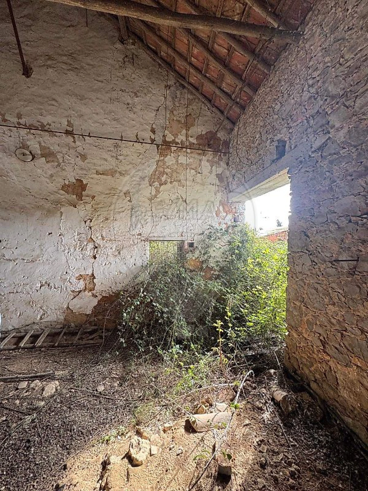 Moradia T3 para Venda em Ereira e Lapa Foto 9