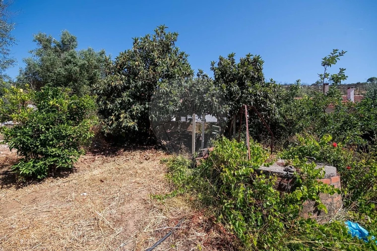 Moradia T5 para Venda em Alcanede Foto 2