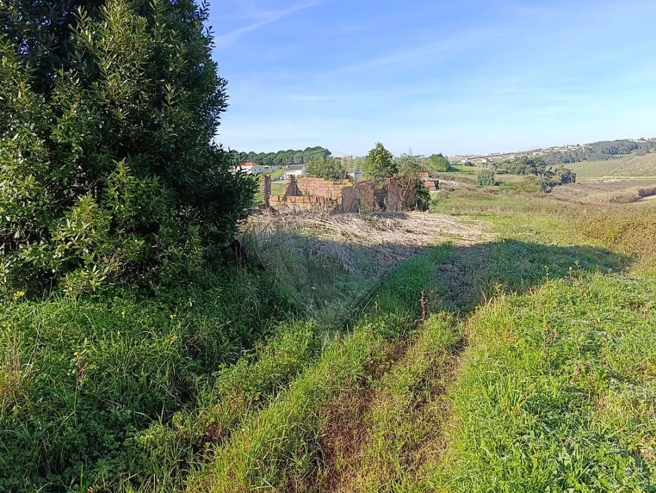 Moradia para Venda em Moita dos Ferreiros Foto 2