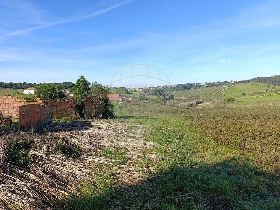 Moradia para Venda em Moita dos Ferreiros Foto 3