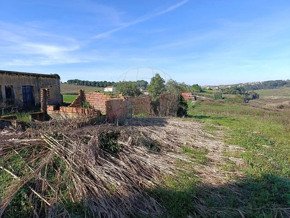 Moradia para Venda em Moita dos Ferreiros Foto 4