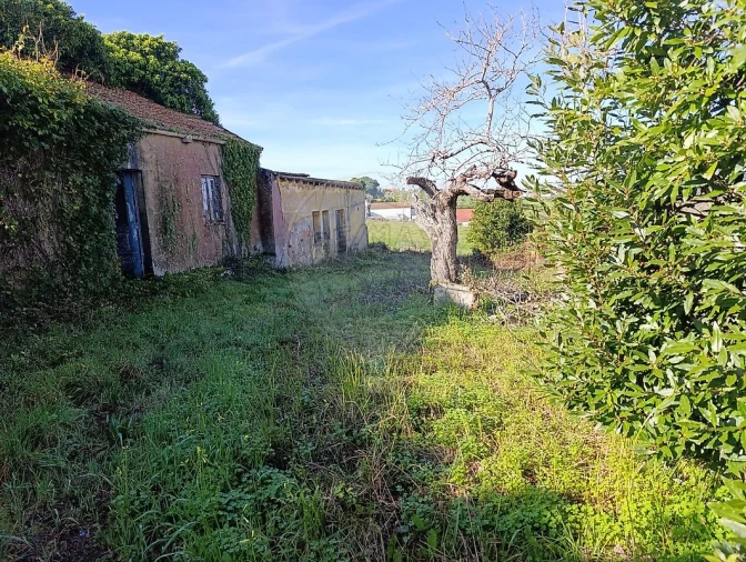 Moradia para Venda em Moita dos Ferreiros