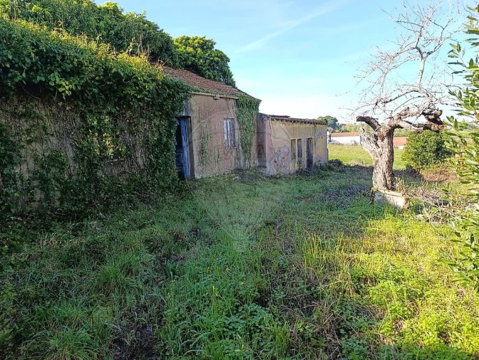 Moradia para Venda em Moita dos Ferreiros Foto 5