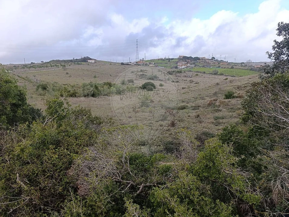 Terreno para Venda em Santo Quintino Foto 2