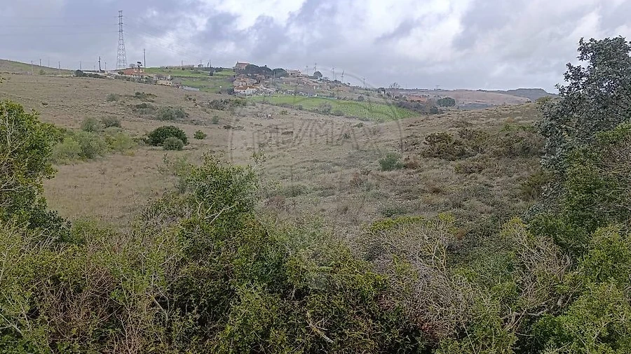 Terreno para Venda em Santo Quintino