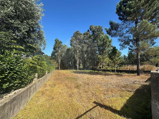 Terreno para Venda em Barrô e Aguada de Baixo Foto 3