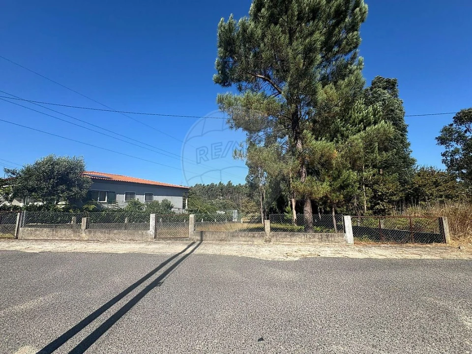 Terreno para Venda em Barrô e Aguada de Baixo Foto 2