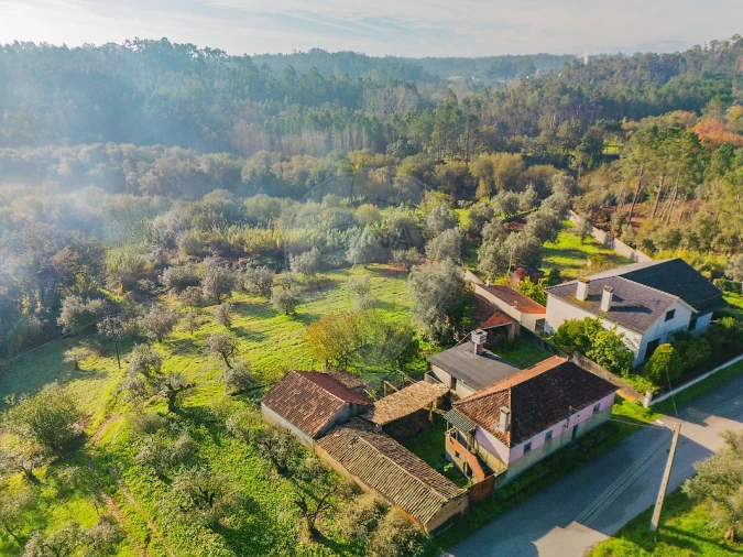 Moradia T3 para Venda em Pombal Foto 3