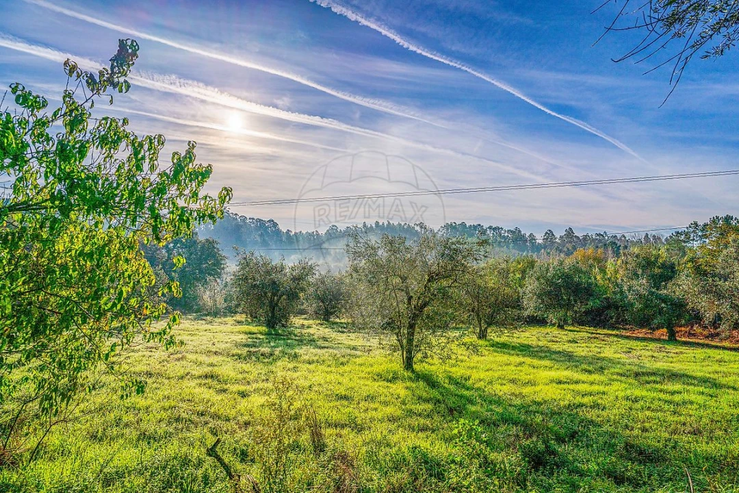 Moradia T3 para Venda em Pombal Foto 41