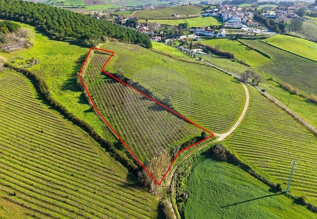 Terreno para Venda em Carvoeira e Carmões Foto 10