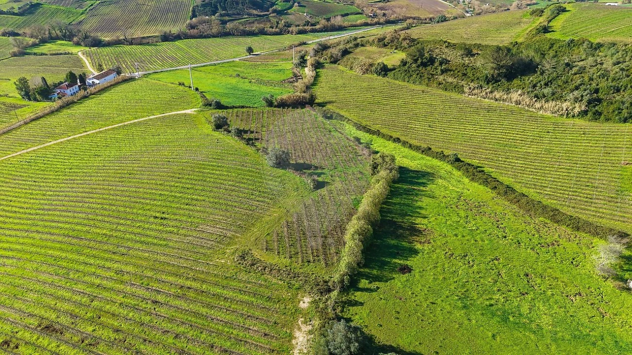 Terreno para Venda em Carvoeira e Carmões Foto 5