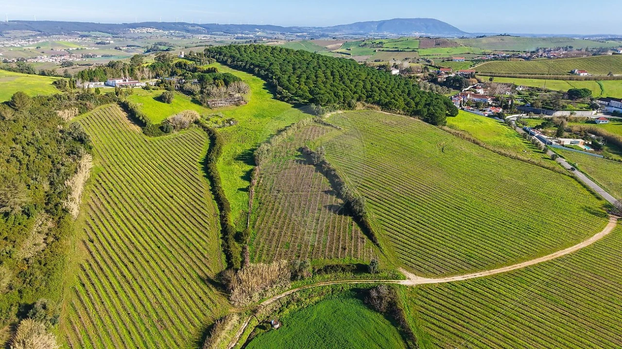 Terreno para Venda em Carvoeira e Carmões Foto 9