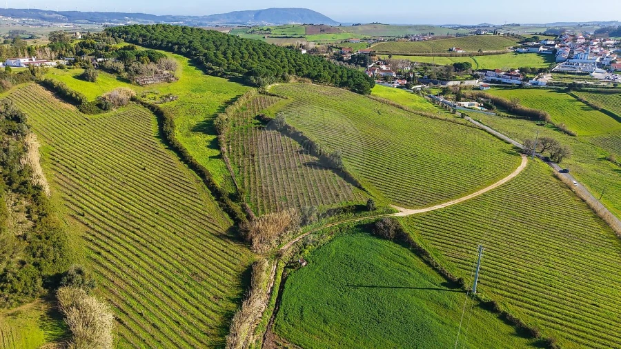 Terreno para Venda em Carvoeira e Carmões Foto 4