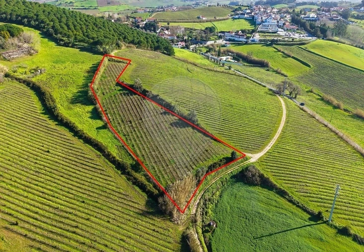 Terreno para Venda em Carvoeira e Carmões Foto 10