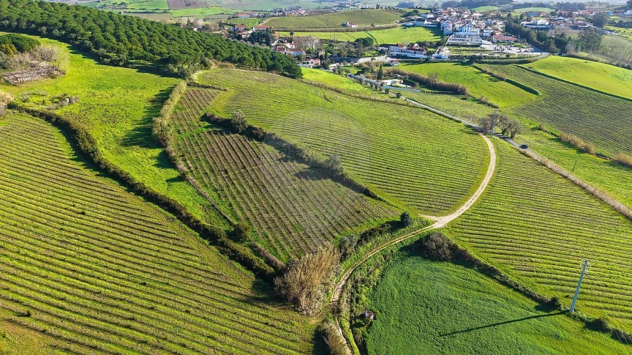 Terreno para Venda em Carvoeira e Carmões Foto 3
