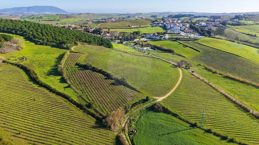 Terreno para Venda em Carvoeira e Carmões Foto 12