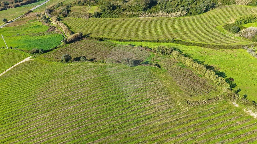 Terreno para Venda em Carvoeira e Carmões Foto 6