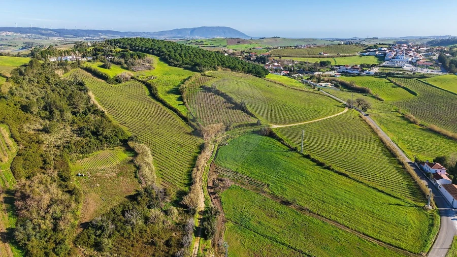 Terreno para Venda em Carvoeira e Carmões Foto 2