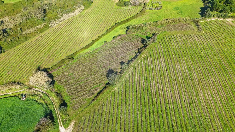 Terreno para Venda em Carvoeira e Carmões Foto 11