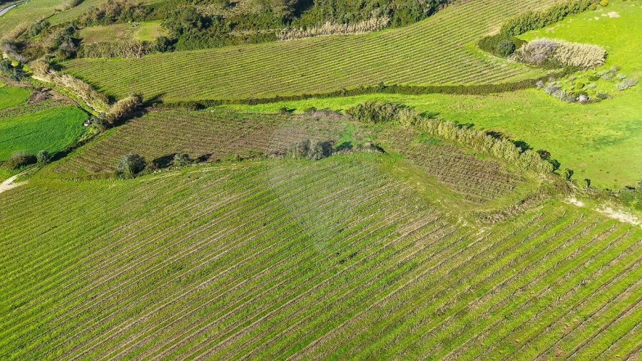 Terreno para Venda em Carvoeira e Carmões Foto 7