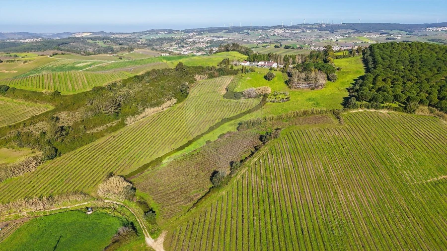Terreno para Venda em Carvoeira e Carmões Foto 8
