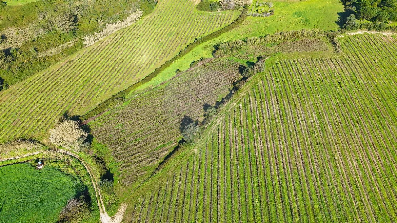 Terreno para Venda em Carvoeira e Carmões Foto 11
