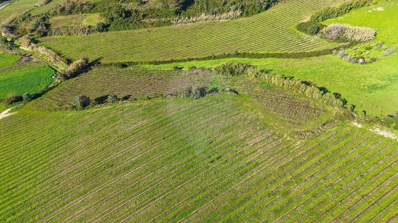 Terreno para Venda em Carvoeira e Carmões Foto 7