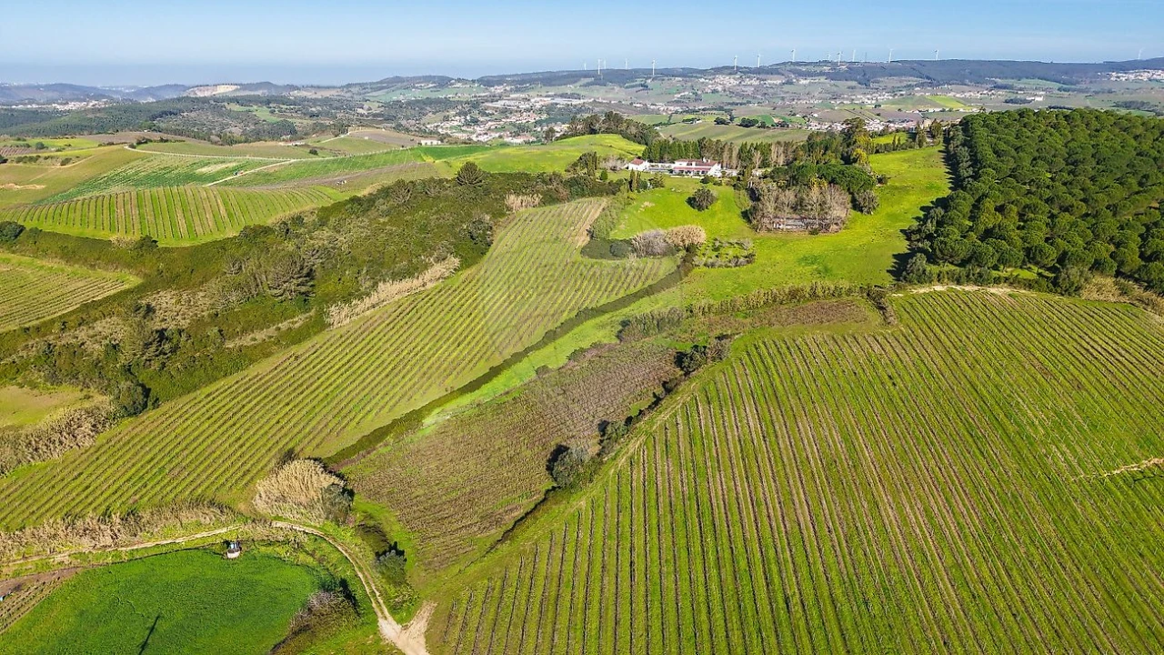 Terreno para Venda em Carvoeira e Carmões Foto 8
