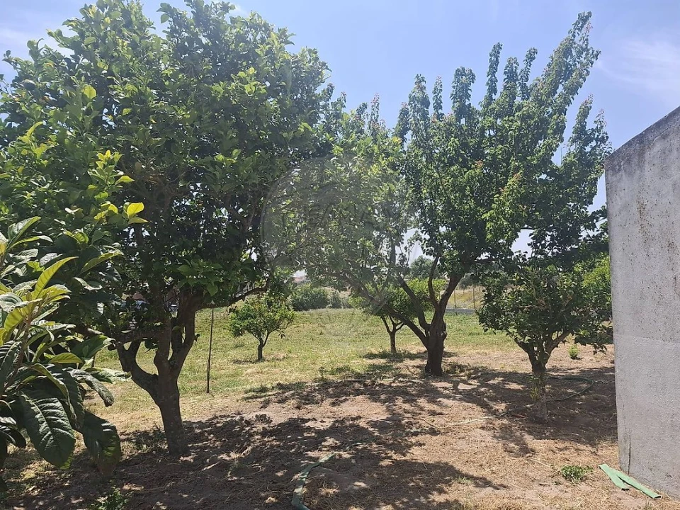 Terreno para Venda em Samora Correia Foto 5