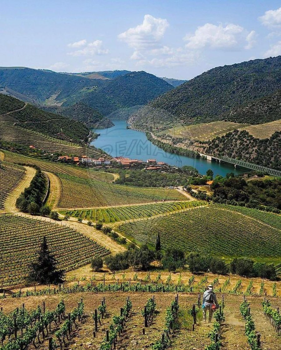 Moradia para Venda em Vale de Figueira Foto 19