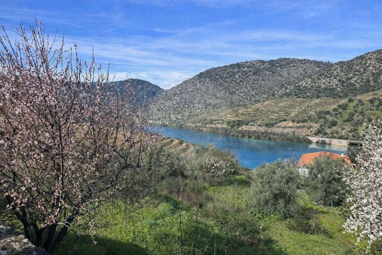 Moradia para Venda em Vale de Figueira Foto 7