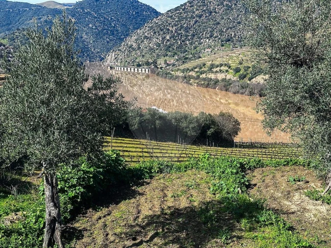 Moradia para Venda em Vale de Figueira Foto 4