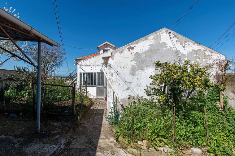 Moradia T3 para Venda em Lamas e Cercal Foto 4