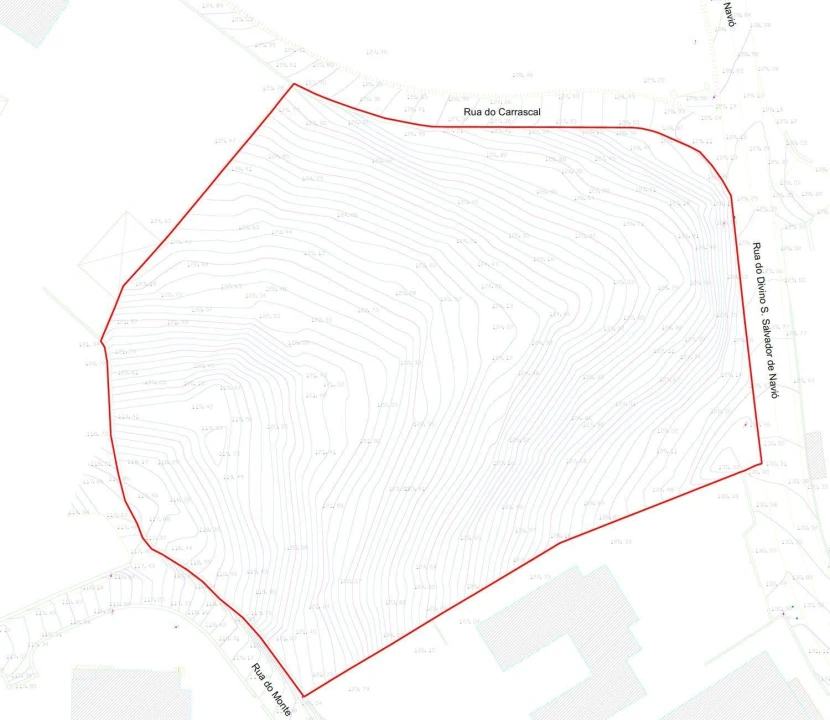 Terreno para Venda em Navió e Vitorino dos Piães Foto 11