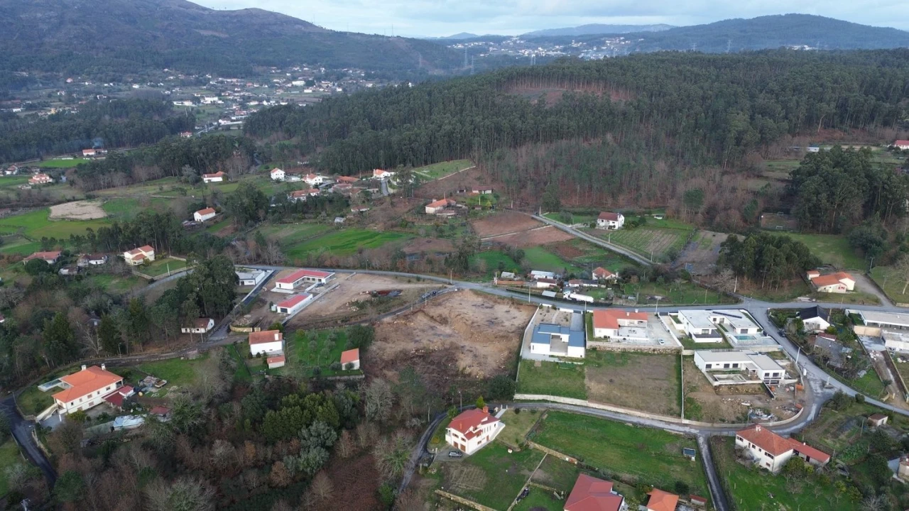 Terreno para Venda em Navió e Vitorino dos Piães Foto 8