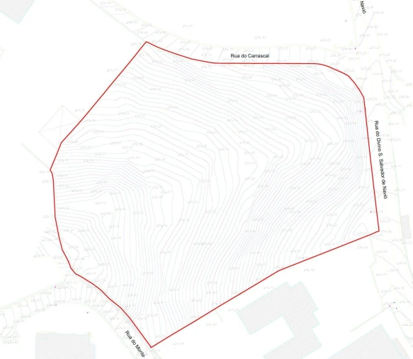 Terreno para Venda em Navió e Vitorino dos Piães Foto 11