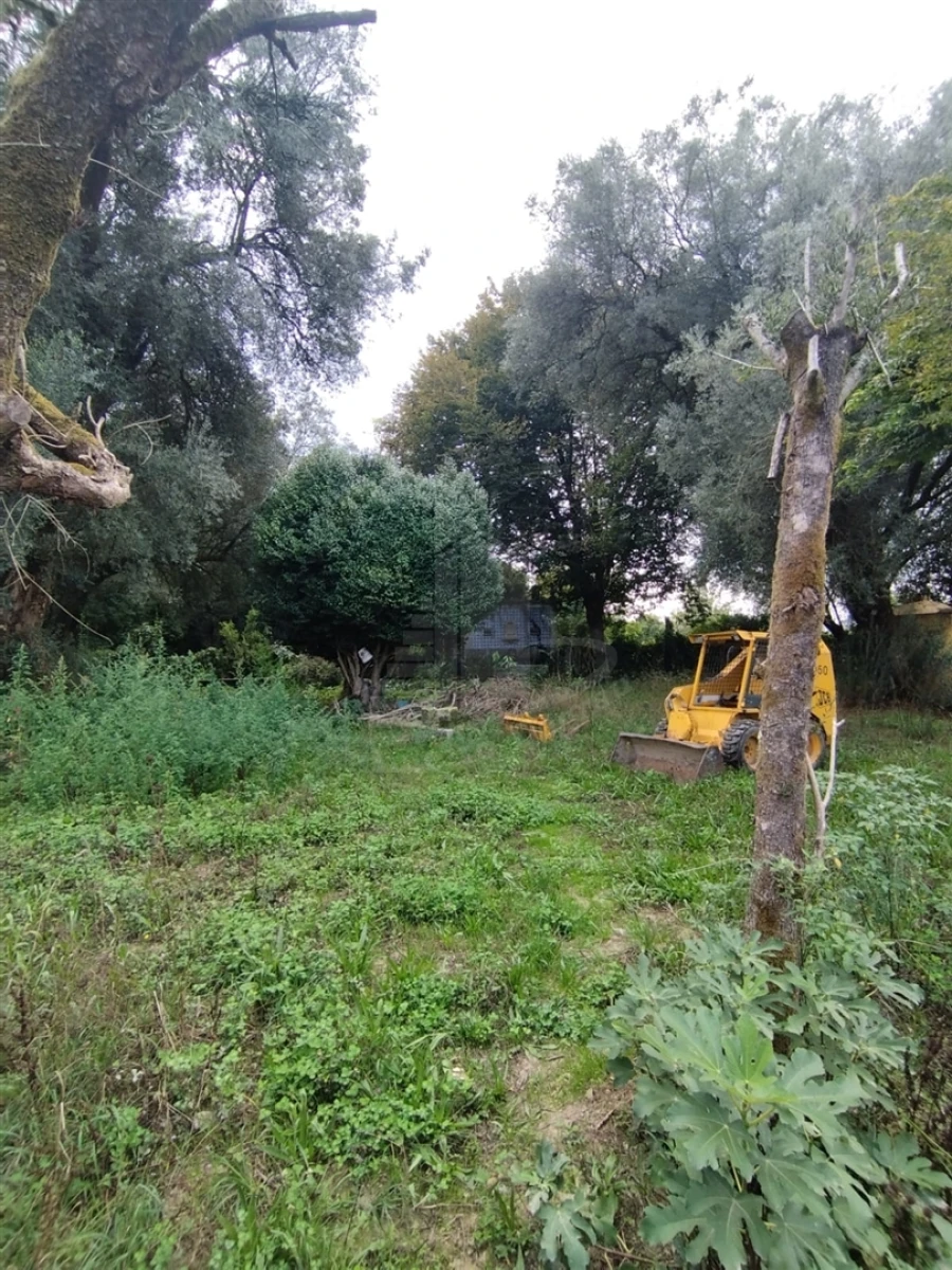 Quinta T4 para Venda em Palmeira Foto 9