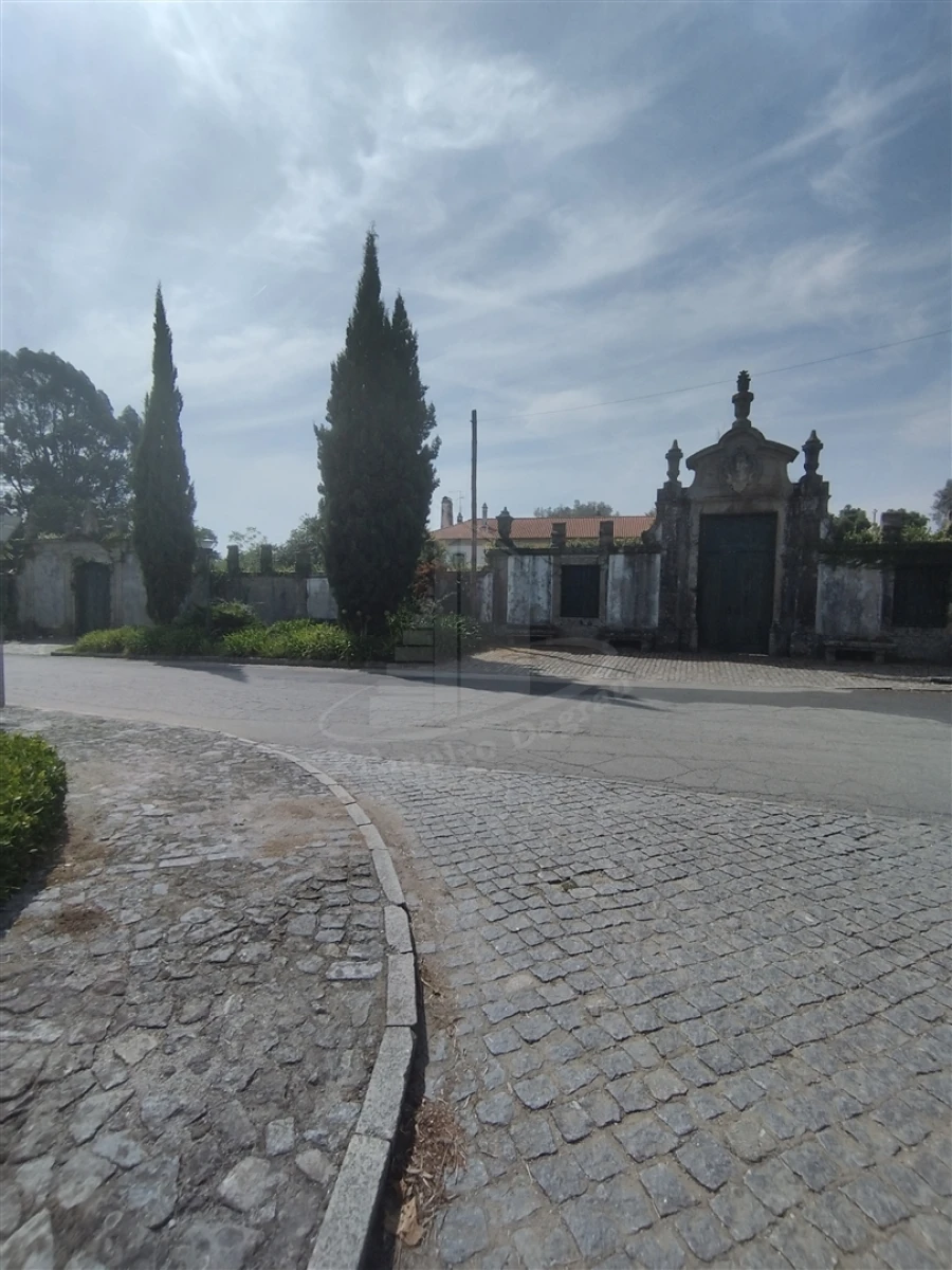 Quinta T4 para Venda em Palmeira Foto 13