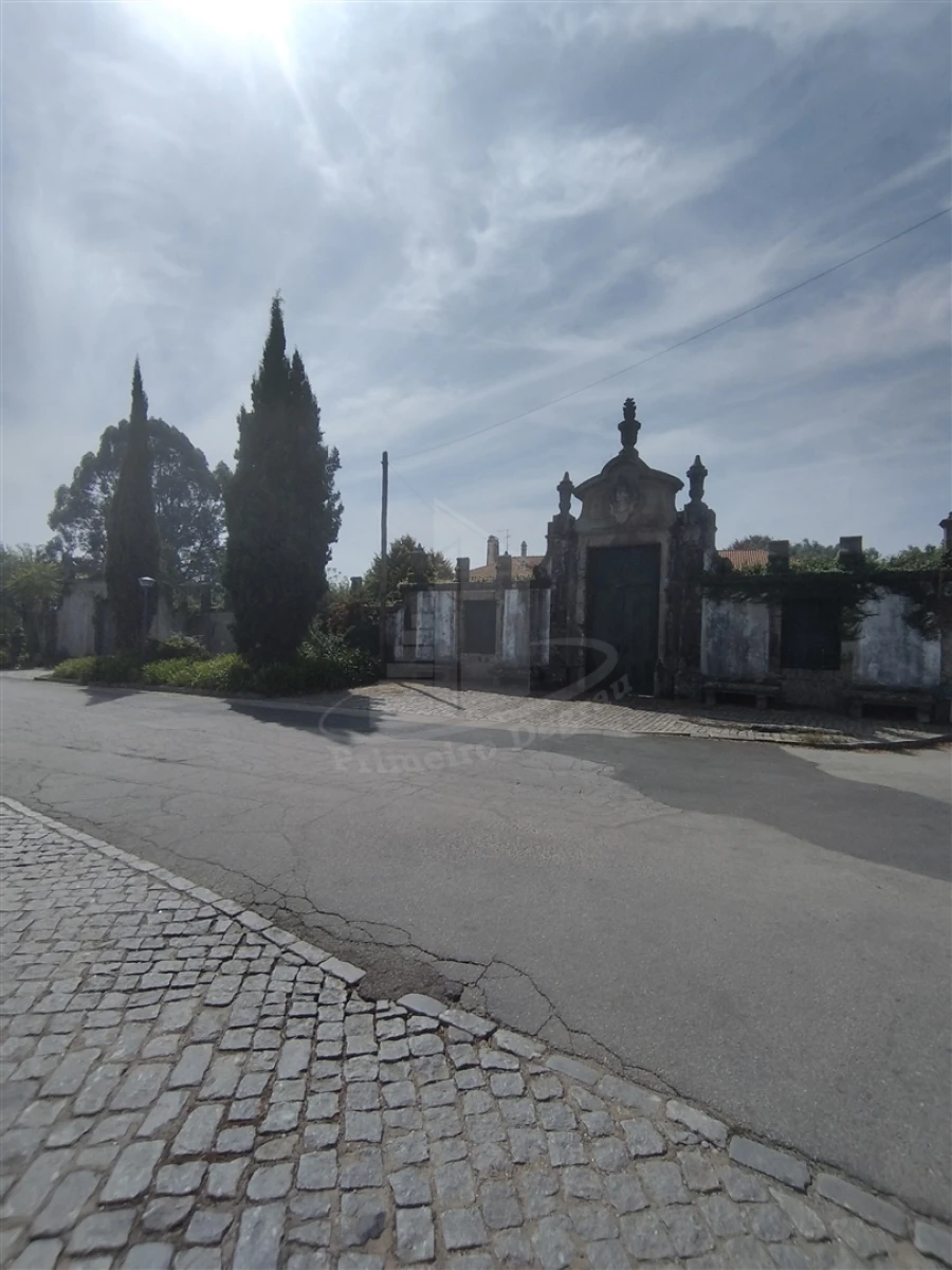 Quinta T4 para Venda em Palmeira Foto 14