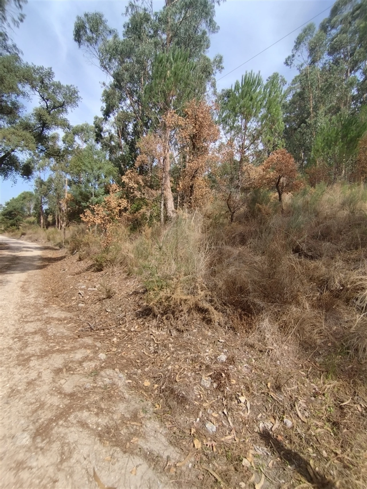 Terreno para Venda em Crespos e Pousada Foto 3