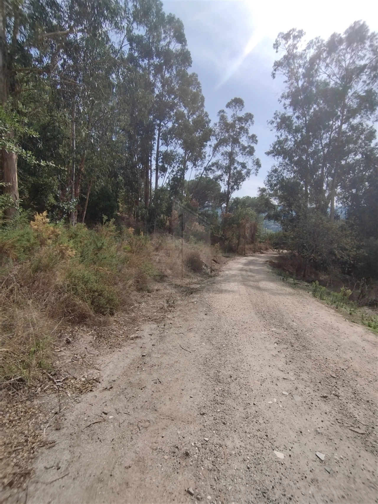 Terreno para Venda em Crespos e Pousada Foto 6