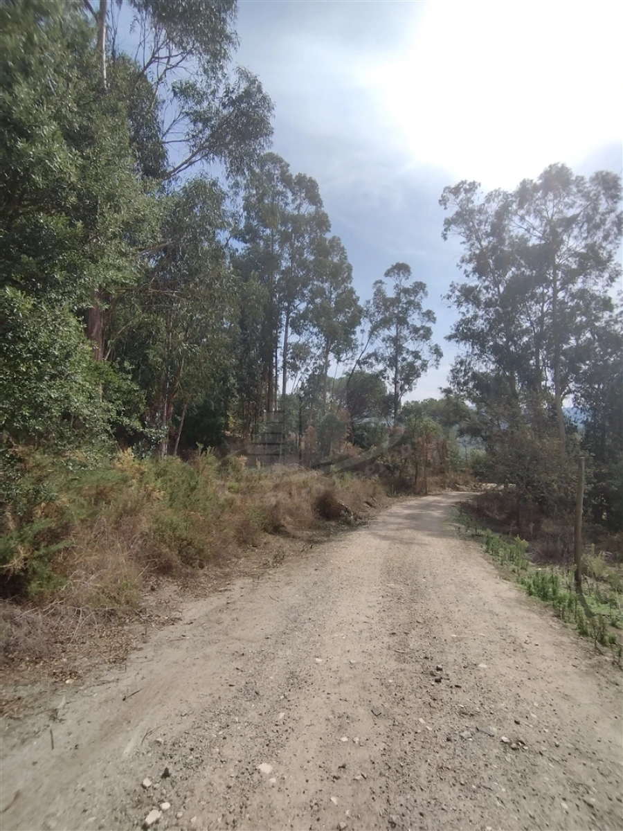 Terreno para Venda em Crespos e Pousada Foto 1