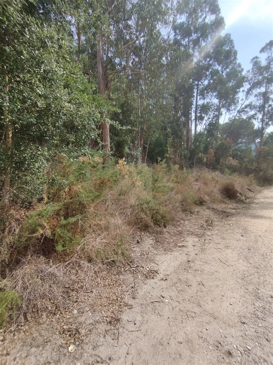 Terreno para Venda em Crespos e Pousada Foto 7