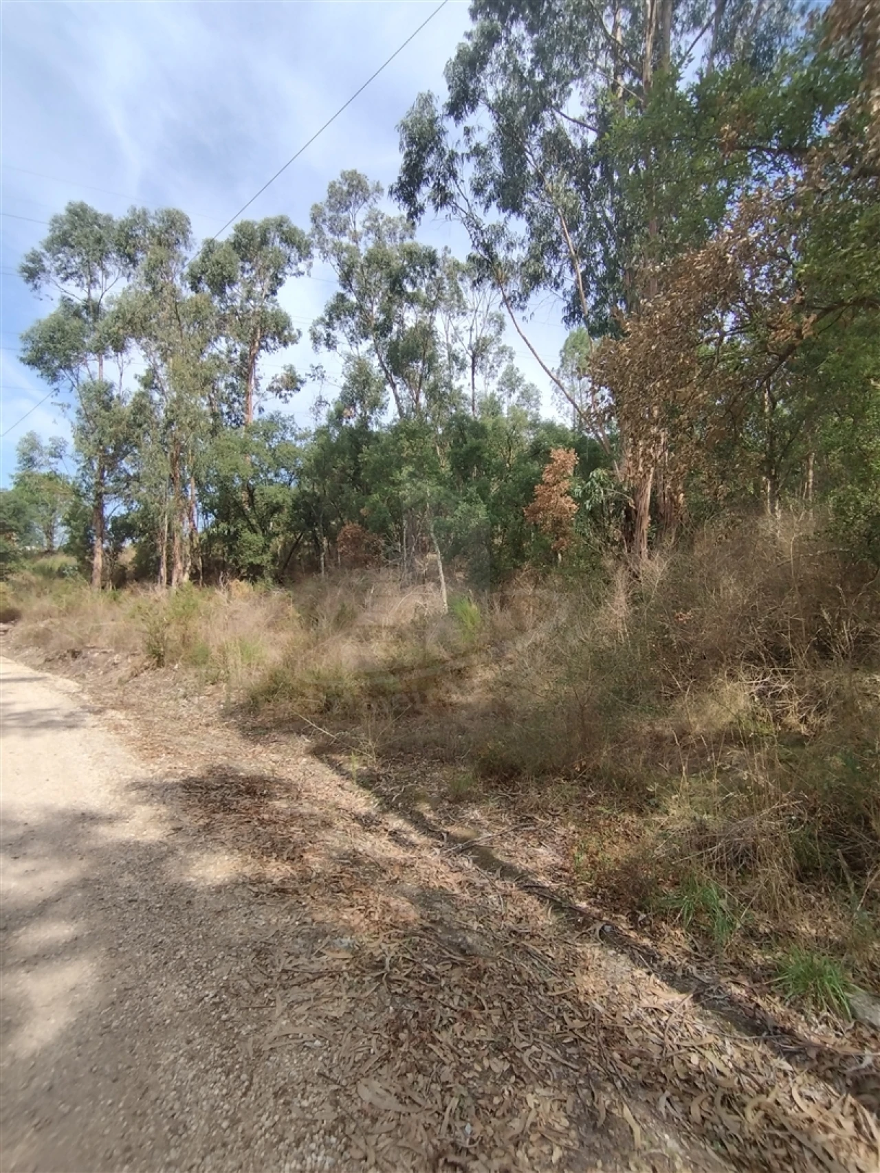 Terreno para Venda em Crespos e Pousada Foto 4