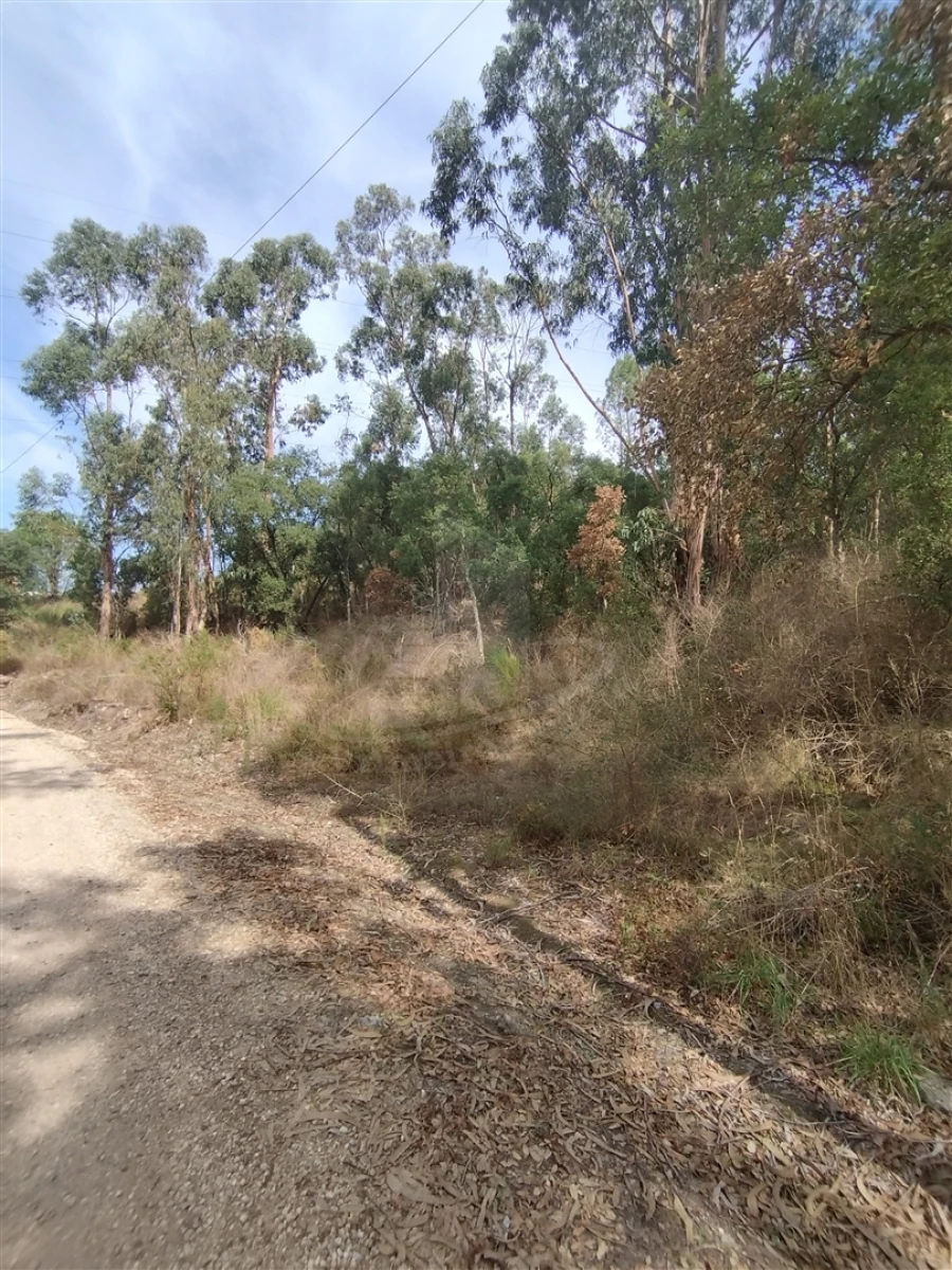 Terreno para Venda em Crespos e Pousada Foto 1