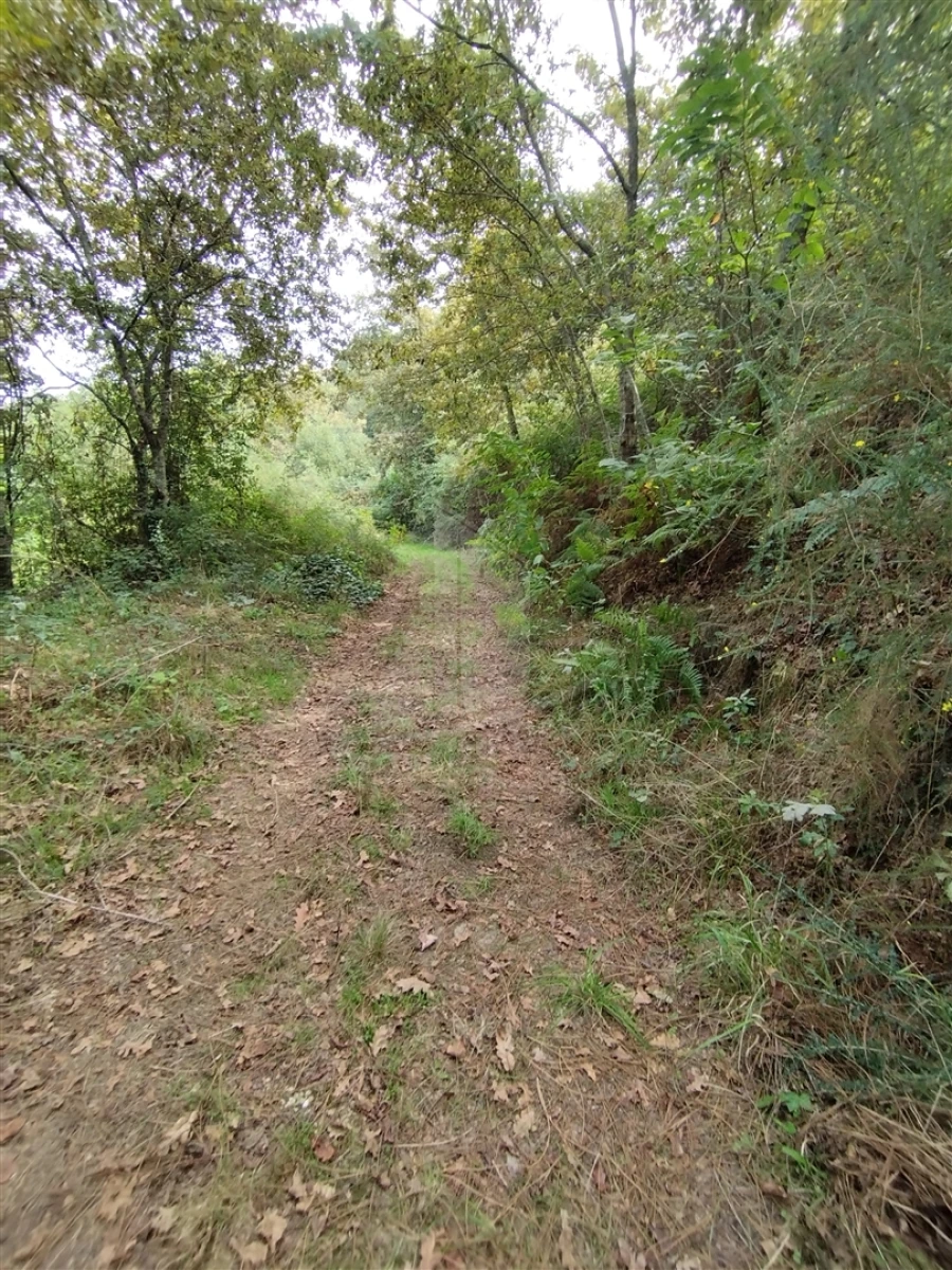 Terreno para Venda em Santa Lucrécia de Algeriz e Navarra Foto 4