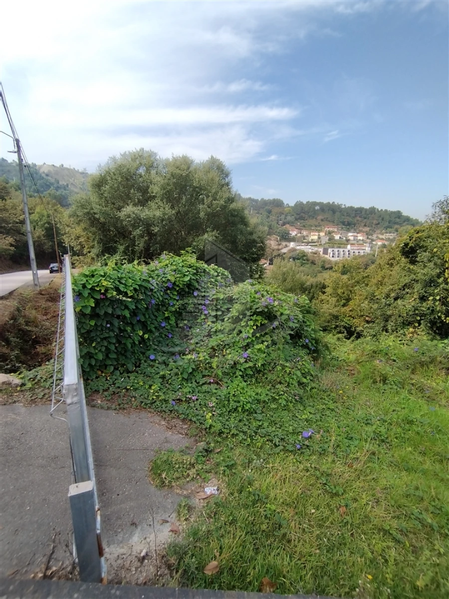 Terreno para Venda em Santa Lucrécia de Algeriz e Navarra Foto 12
