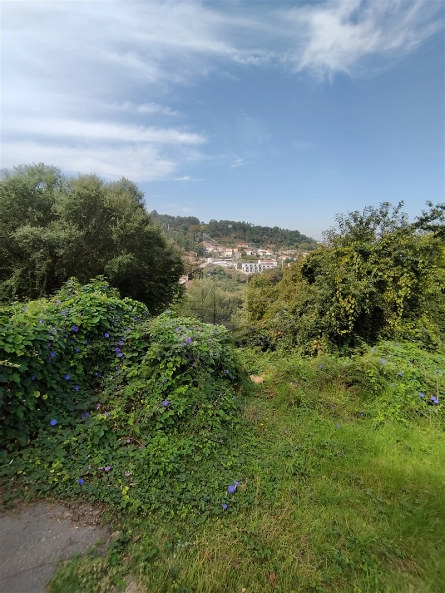 Terreno para Venda em Santa Lucrécia de Algeriz e Navarra Foto 13
