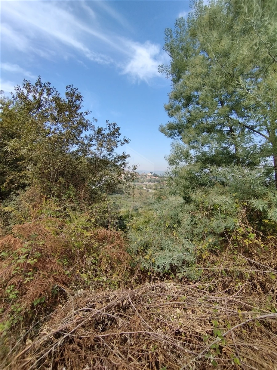 Terreno para Venda em Santa Lucrécia de Algeriz e Navarra Foto 7