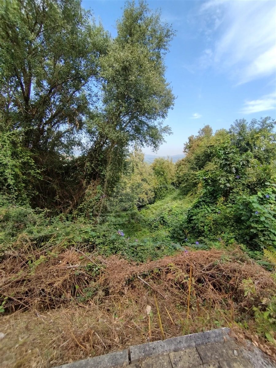 Terreno para Venda em Santa Lucrécia de Algeriz e Navarra Foto 10